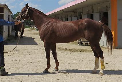 �Ƶ����� ����