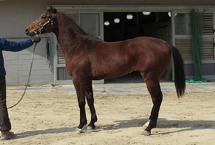 �Ƶ��ӽ��� ����