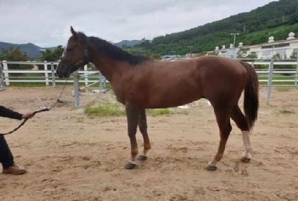 ��ȣ�� ����