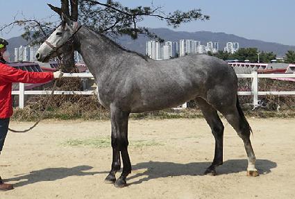 ȭ��Ʈ�� ����