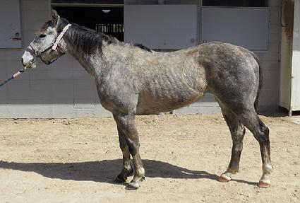 �׷���Ĺ ����