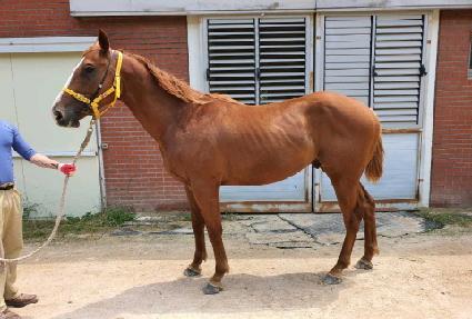 �ѹ߾ռ� ����