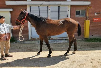 �ְ������� ����