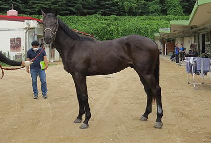 �������� ����