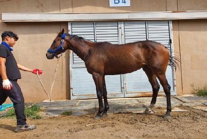 Ʈ���̹����� ����