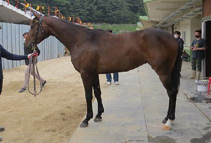 ��ε��� ����