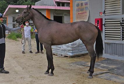 ĳġ�� ����