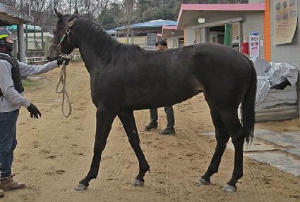 �����ǿ��� ����