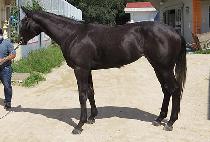 ��ġ���� (ARCH YEOGEOL) ����