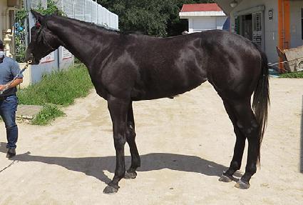 ��ġ���� ����