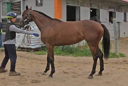 ������ ����