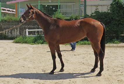 �����̱� ����