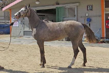 �۸��� ����