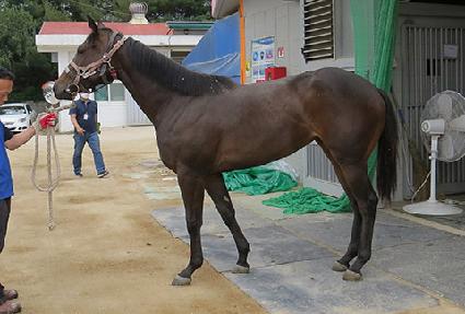 �̽����ǵ� ����