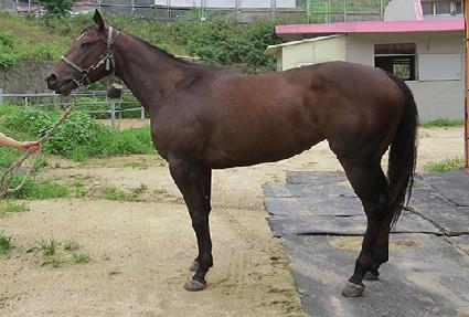 �ٿ��� ����