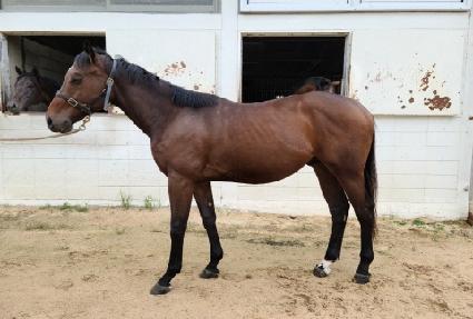 �ݾƽŽ�ƿ�� ����