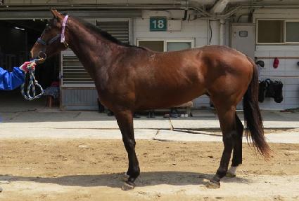 ������ ����