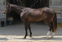 ��꽺ŸƮ (JANGSAN START) ����