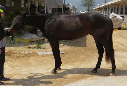 ��������� ����