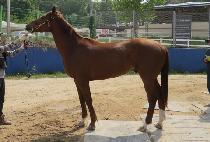 ����Ű��ġ (KENTUCKY MANGCHI) ����