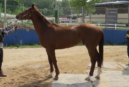 ����Ű��ġ ����