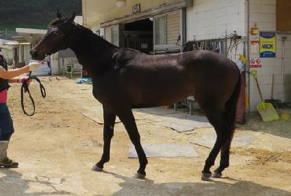 û��������Ʈ ����