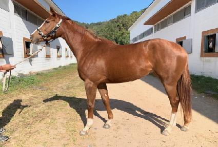 ���ƴ� ����