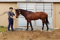 �����̱��� (BLACK EAGLE WING) ����