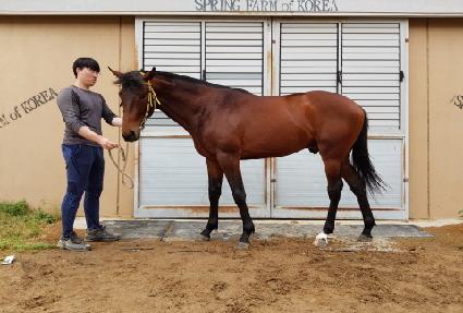 �����̱��� ����