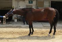 ������ġ (BLACK PUNCH) ����