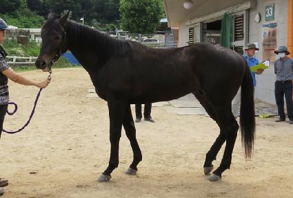 ī�Ϸ����� ����