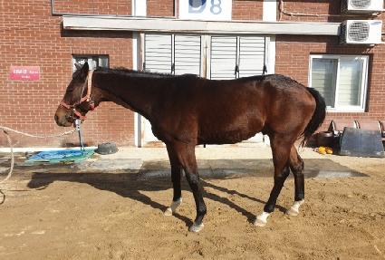 ��ٸ������� ����