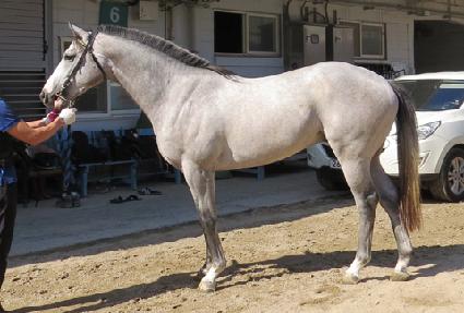 ��ٸ������� ����