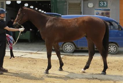 ������ ����