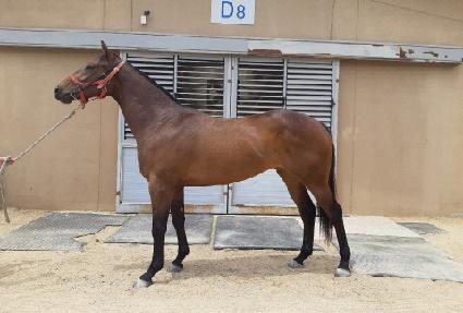 �Ѻ����� ����