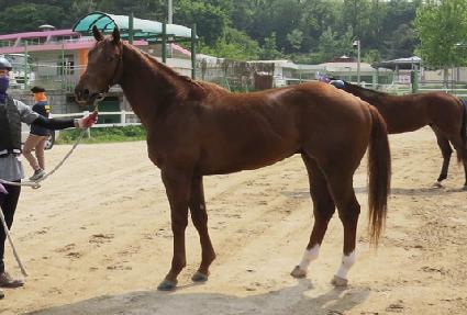 ���ǵ� ����