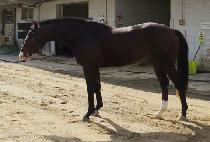 ������Ʈ (JEONGMUN WATT) ����