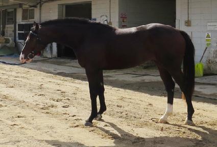 ������Ʈ ����