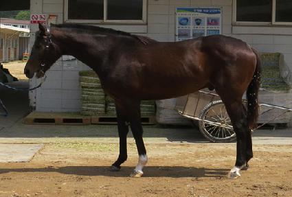 ������ġ ����