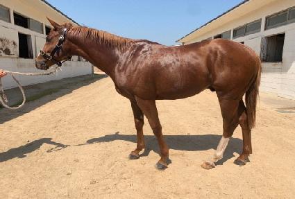 �ο����Ʈ ����