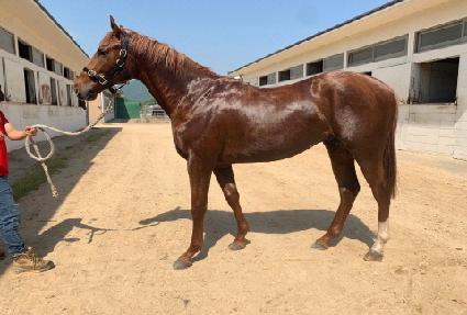 ��ġ ����