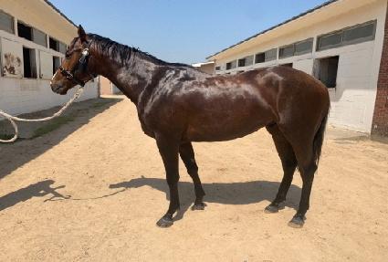 ��������� ����