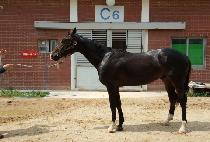 ��������Ŀ (NEWS MAKER) ����