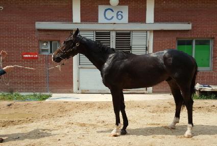 ��������Ŀ ����