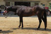 ť�ǵ彺ī�� (CUPID SKY) ����