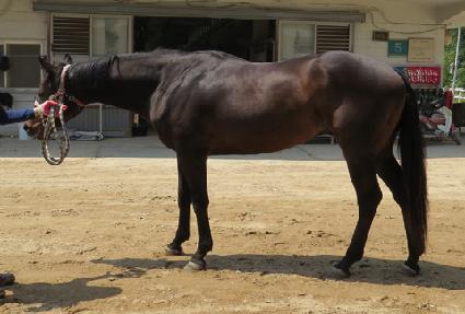 ť�ǵ彺ī�� ����