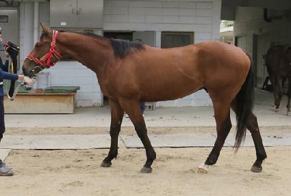 ��Ʈ���� ����