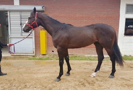 ��Ʈ����� ����