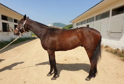 Ŭ��ó ����