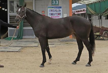 �����۷θ� ����